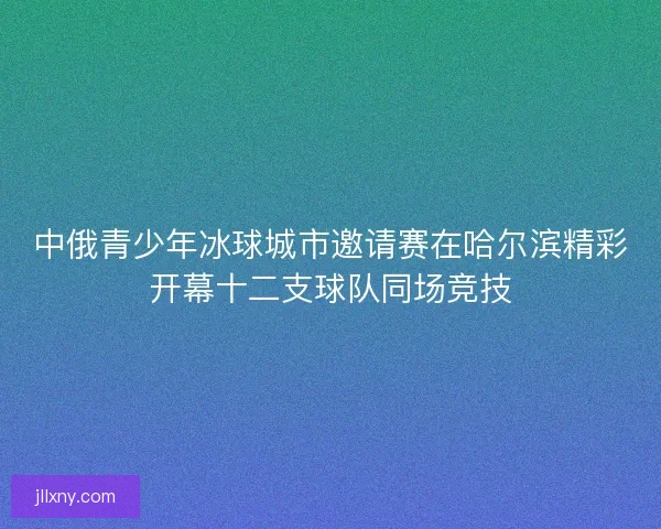 中俄青少年冰球城市邀请赛在哈尔滨精彩开幕十二支球队同场竞技