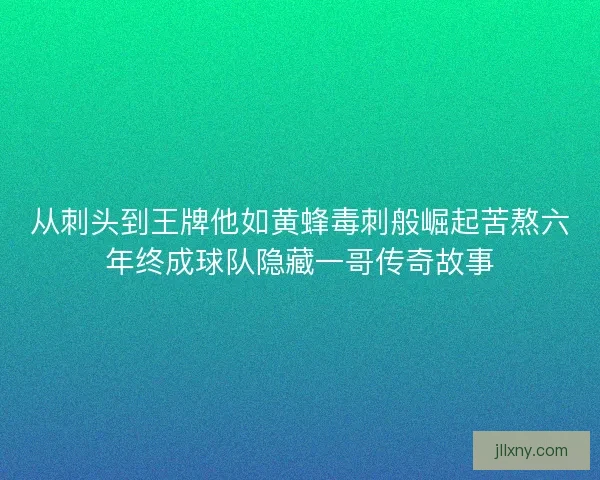 从刺头到王牌他如黄蜂毒刺般崛起苦熬六年终成球队隐藏一哥传奇故事
